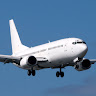 Vuelo baratoses