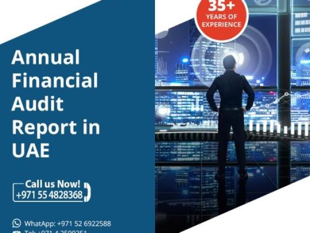 Annual Financial Audit Report in UAE - 1/1